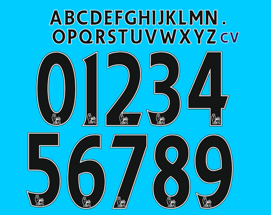 Premier League EPL 2007-2013 FLOCK BLACK Nameset for Football Shirt Any Name (upto 10 letters) & Number