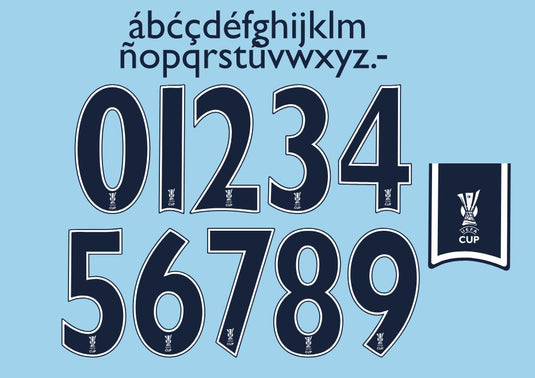 manchester city 2008 2009 uefa cup home football shirt nameset