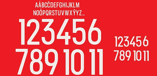 Wales Euro 2016 Home Football Nameset for Shirt CHOOSE NAME & 2 NUMBERS