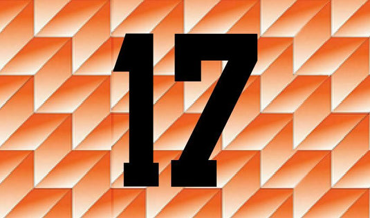 #17 (Rijkaard) Holland Netherlands Euro 1988 Home Football Nameset for shirt