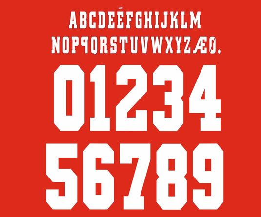 AJAX 1996 1997 HOME FOOTBALL SHIRT NAMESET