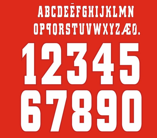 ajax 1999 2000 hoem football shirt nameset