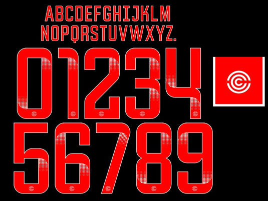 Barclays Women's Championship Red Nameset for Football Shirt Choose Name & Number