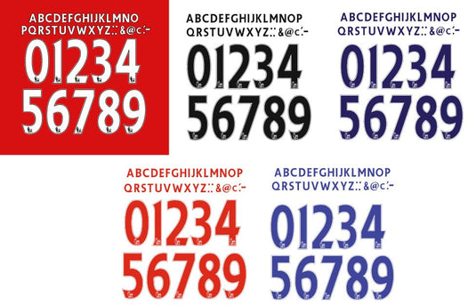 Premier League KIDS EPL 2007-2017 PLASTIC Nameset for Football Shirt Choose Colour Choose Name and Number