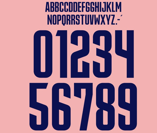 Everton 2022-2023 Away Nameset for Football Shirt Choose Name & Number