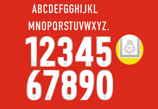 English Football League 2000-2004 Football Shirt Nameset Any name & number - choose colour