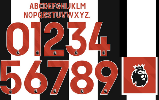 Epl Numbers Premier League EPL 2023-2025 Nameset for Football Shirt Any Name and N ...