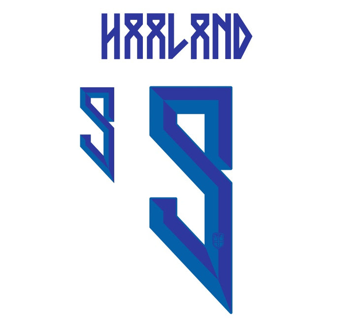 haaland Norway 2024 away football shirt nameset