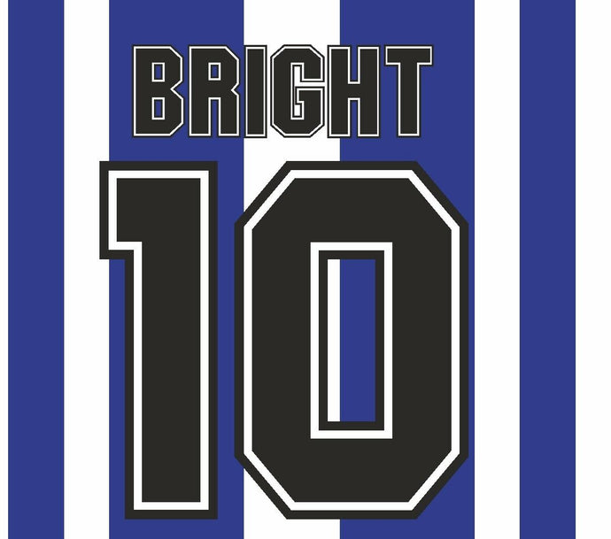 Bright #10 Sheffield Wednesday 1995-1997 Home Football Nameset