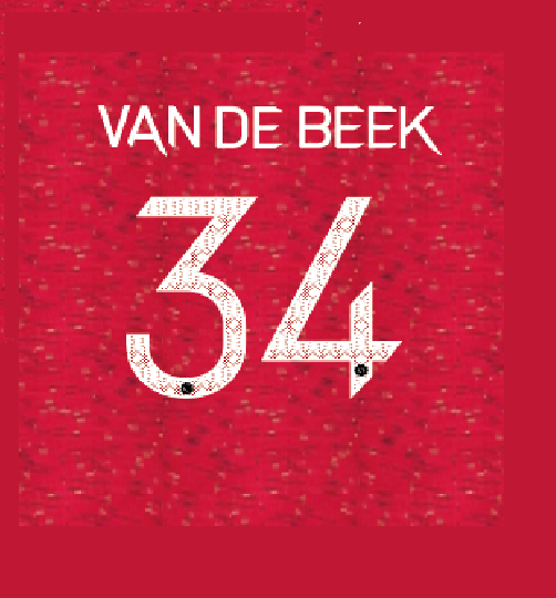 Van De Beek 34 2020-2021 Manchester United CHampions League Home Football Nameset for shirt
