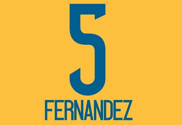 Fernandez #5 Tigres UANL 2016-2017 Home Football Nameset for shirt