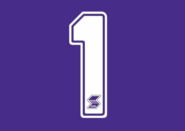 Load image into Gallery viewer, Fiorentina 1990-1991 Home ABM Number Football Shirt Nameset Choose Ur Number
