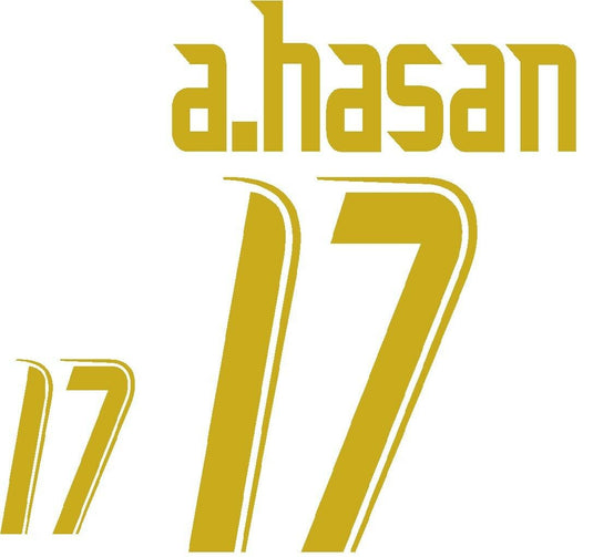 a.Hasan 2007 Egypt Home Football Nameset for shirt