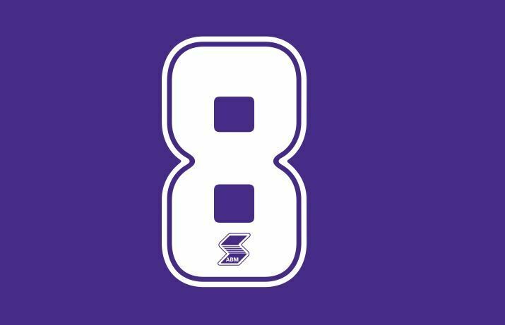 Load image into Gallery viewer, Fiorentina 1990-1991 Home ABM Number Football Shirt Nameset Choose Ur Number
