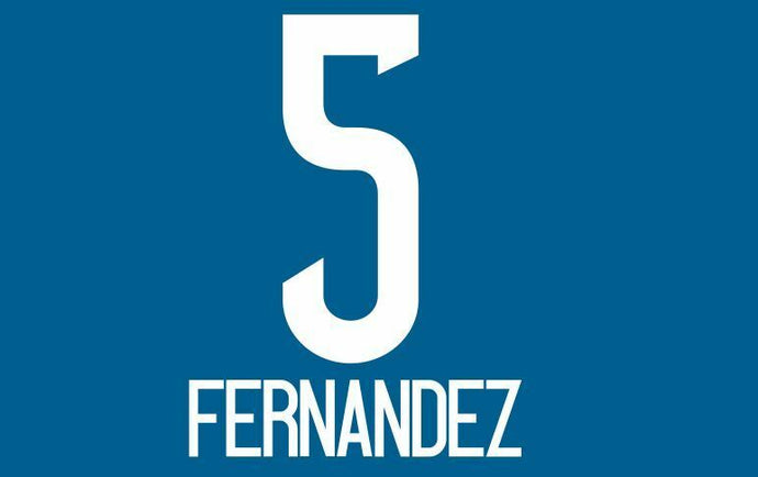 Fernandez #5 Tigres UANL 2016-2017 Away Football Nameset for shirt