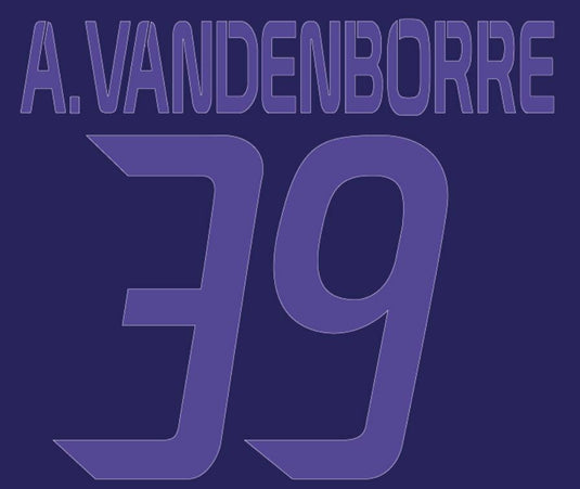 Vanderborre #39 Anderlecht 2013-2014 Away Football Nameset for shirt