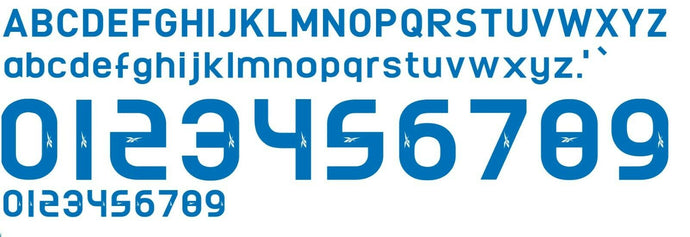 Reebok Copa America 09-10 Football Nameset for shirt Any Name & Number & colour