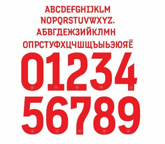 Load image into Gallery viewer, Russian Premier League 2018 Football Nameset shirt locomotiv spartak zenit
