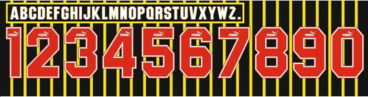 Sheffield Wednesday 1994-1995 Away Football Shirt Nameset Any Name & Number