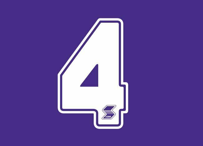 Load image into Gallery viewer, Fiorentina 1990-1991 Home ABM Number Football Shirt Nameset Choose Ur Number
