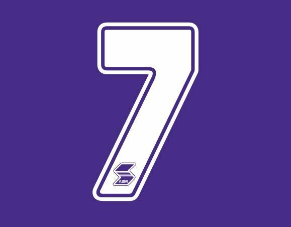 Load image into Gallery viewer, Fiorentina 1990-1991 Home ABM Number Football Shirt Nameset Choose Ur Number

