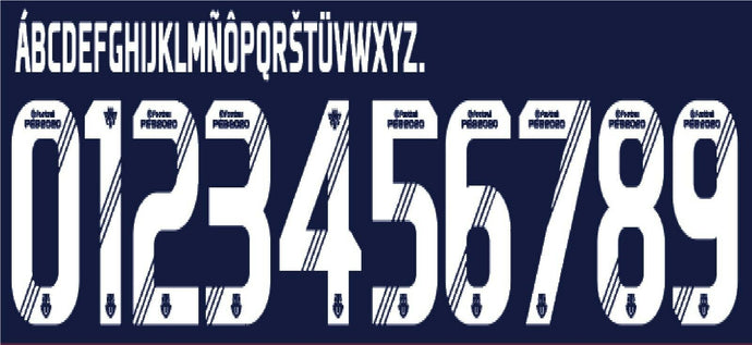 Universidad De Chile 2019-2020 Home Football Nameset for shirt Any Name & Number