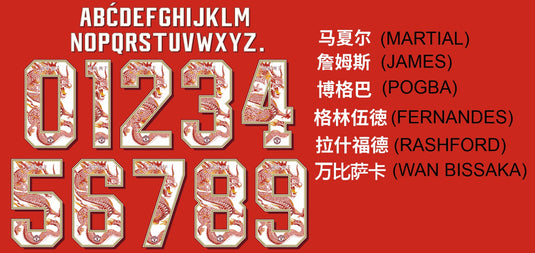 manchester united chinese new year 2019 2020 nameset print football shirt norwich