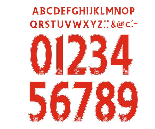 Premier League KIDS EPL 2007-2017 PLASTIC Nameset for Football Shirt Choose Colour Choose Name and Number